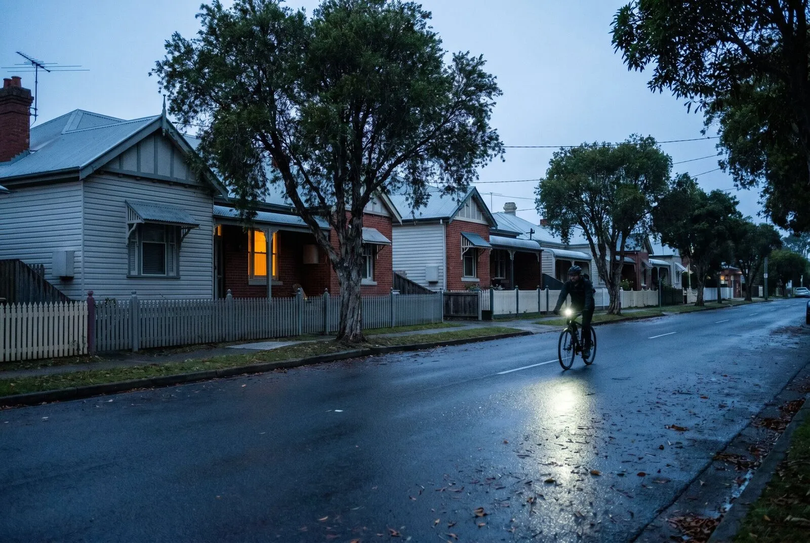 An older grid street in Lambton at first light with weatherboard cottages and mature street trees
